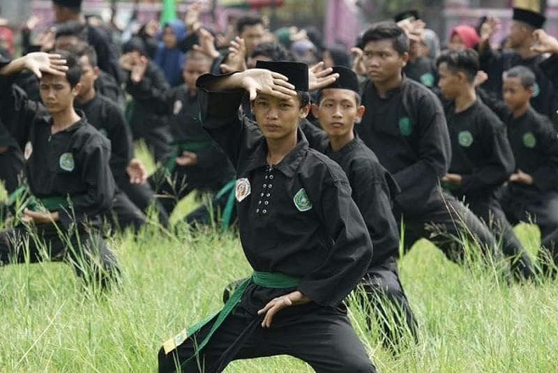 Pencak Silat Pagar Nusa