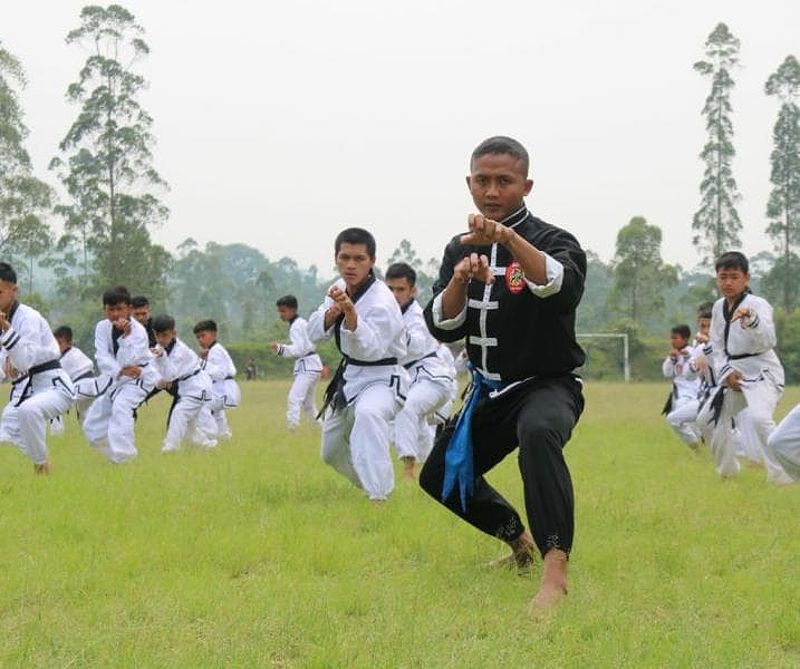 Pencak Silat Putra Kera Sakti