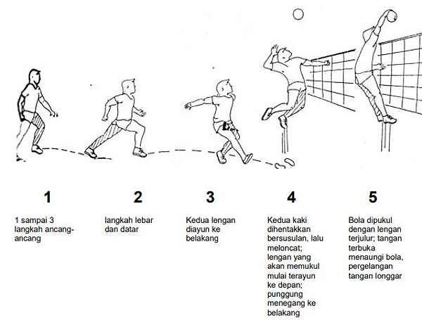 Smash bola voli 3